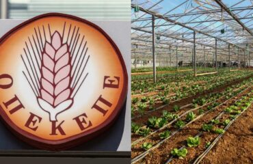 Ένοχοι 57 αγρότες για παράνομη είσπραξη επιδοτήσεων του ΟΠΕΚΕΠΕ: 27 από αυτούς ήταν στελέχη και οπαδοί της ΝΔ!