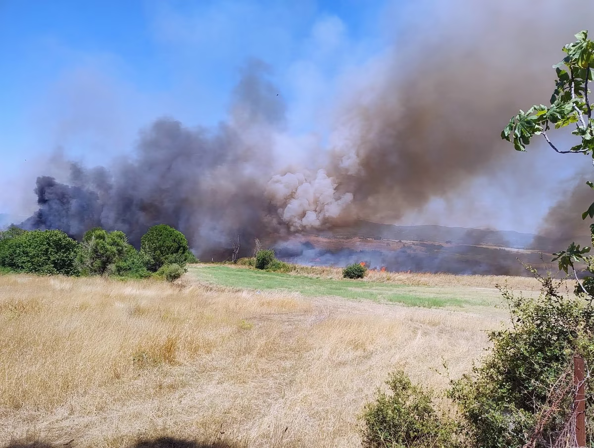 Φωτιά στη Βάρδα: Ενισχύθηκαν οι δυνάμεις – Οι ισχυροί άνεμοι δυσκολεύουν την κατάσβεση