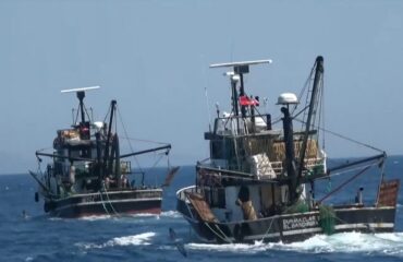 Τα τουρκικά αλιευτικά «πολιορκούν» τα Κύθηρα κλέβουν τον ελληνικό αλιευτικό πλούτο και ουδείς αντιδρά!