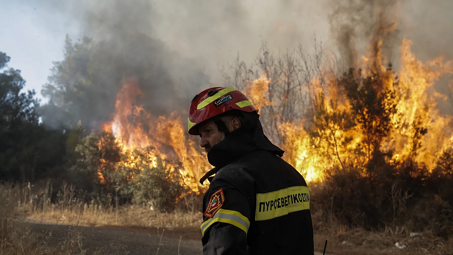 Χαλκιδική: Oριοθετήθηκε η φωτιά στη Νέα Καλλικράτεια – Ζημιές σε σπίτια (upd)