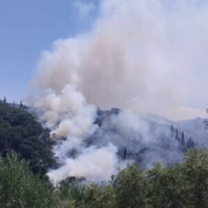 Συνελήφθη 88χρονος για πρόκληση πυρκαγιάς από αμέλεια στα Γρεβενά: Του επιβλήθηκε πρόστιμο άνω των 1.500 ευρώ