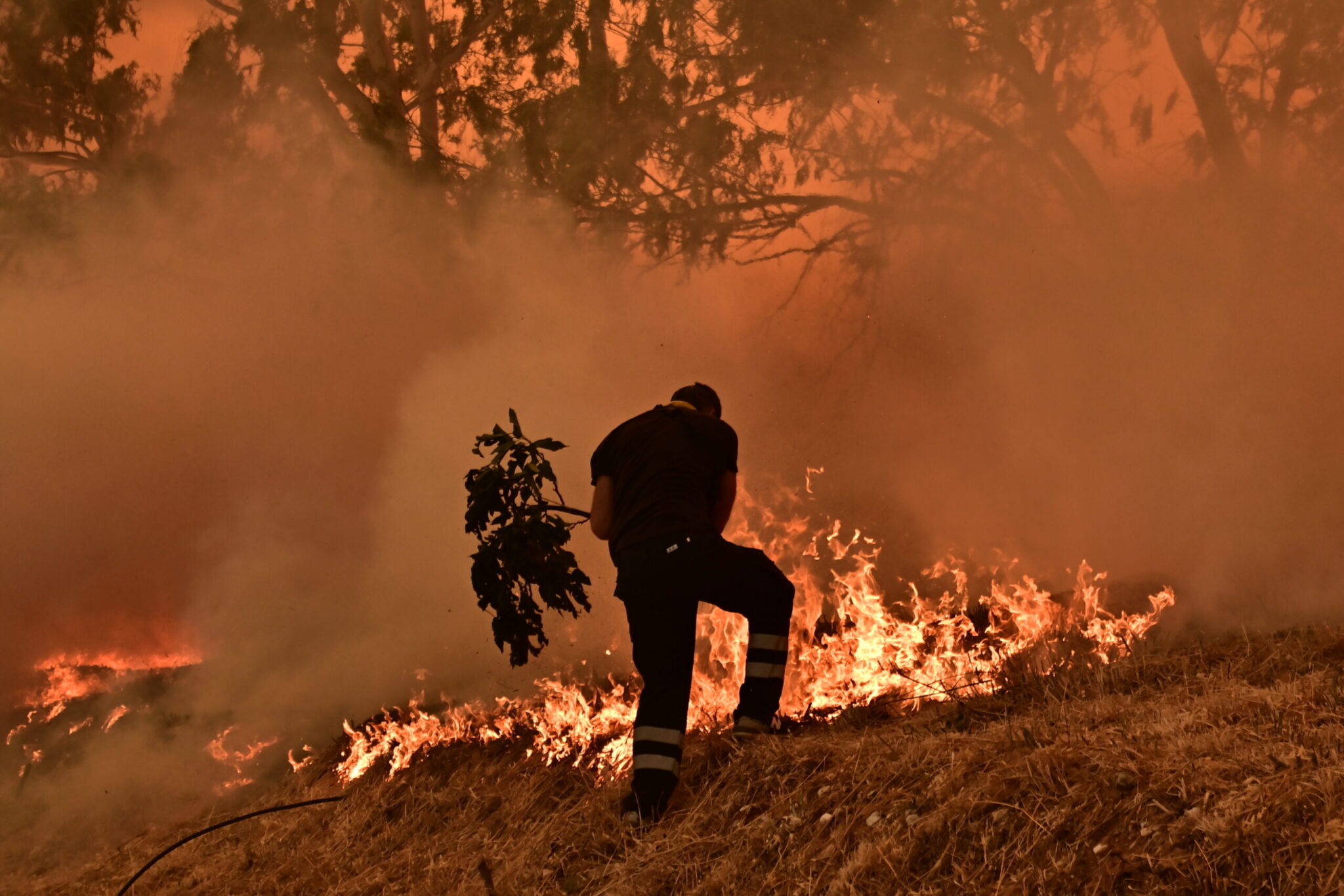 Θεσσαλονίκη: Φωτιά σε αγροτοδασική έκταση στο Ωραιόκαστρο – Εκκενώνεται η Ανθούπολη