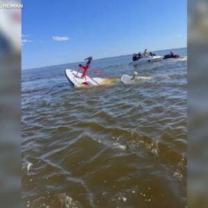 Νιού Τζέρσεϊ: Πυροσβεστικό σκάφος διάσωσης βυθίστηκε μετά από σύγκρουση με φάλαινα