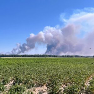 Πυρκαγιά στο δάσος του Φοντενεμπλό 60 χλμ. από το Παρίσι