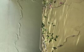 Κυψέλη: Ρωγμές σε πάνω από 15 πολυκατοικίες & καθιζήσεις έως 20 εκατοστά – Ανησυχία για τα έργα του Μετρό (φώτο)