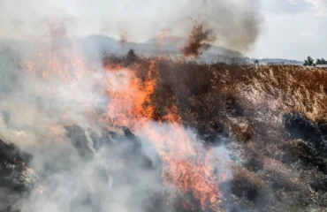 Συνελήφθη πρόεδρος κοινότητας, ο αδερφός του και ένας πυροσβέστης για εμπρησμούς στους Γαργαλιάνους Μεσσηνίας