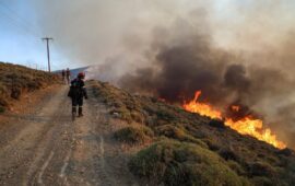 Συνελήφθησαν ασυνείδητοι αλλοδαποί σε Αθήνα και Χίο: Γυναίκα έκαψε ξερά χόρτα και άνδρας πέταξε αποτσιγάρο σε δάσος