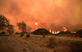 Άλλαζαν λάμπες και προκάλεσαν πυρκαγιά στο Κρυονέρι Αττικής: Χειροπέδες σε δύο άνδρες και επιβολή προστίμων