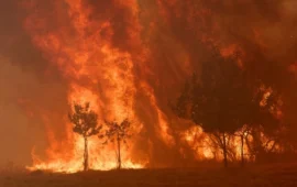 Πυρκαγιές απειλούν το Μπορντό – Χιλιάδες εκτοπισμένοι σε Γαλλία και Ισπανία (βίντεο)