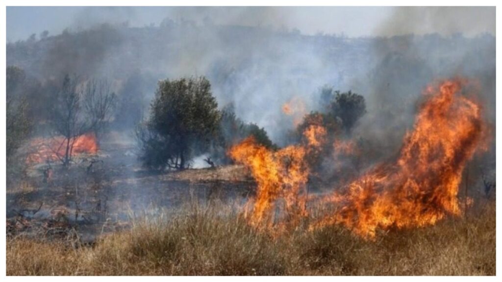 Μεγάλη φωτιά στην Λέσβο: Εκκενώνεται το Πλωμάρι (βίντεο)