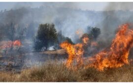 Μεγάλη φωτιά στην Λέσβο: Εκκενώνεται το Πλωμάρι (βίντεο)
