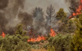 Σε εξέλιξη φωτιά στην Ελασσόνα – Συνδράμουν και εναέρια μέσα