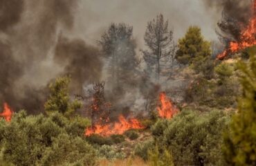 Σε εξέλιξη φωτιά στην Ελασσόνα – Συνδράμουν και εναέρια μέσα