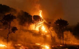 Τι είναι η «μέγα-φωτιά» και γιατί η πυρκαγιά στο Πόρτο Γερμενό χαρακτηρίστηκε ακραίο φαινόμενο