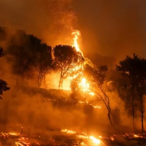 Τι είναι η «μέγα-φωτιά» και γιατί η πυρκαγιά στο Πόρτο Γερμενό χαρακτηρίστηκε ακραίο φαινόμενο