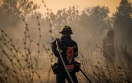 Φωτιά στη Βοιωτία: Στο νοσοκομείο δύο πυροσβέστες που επιχειρούσαν στο πύρινο μέτωπο – Ο ένας υπέστη έμφραγμα