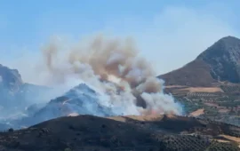 Ανεξέλεγκτο το πύρινο μέτωπο στην Βοιωτία: Σε απόσταση μόλις 10 μέτρων από τα σπίτια στη Λιβαδόστρα οι φλόγες