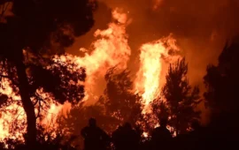 Πυρομετεωρολόγος Θ.Γιάνναρος για την φωτιά στην Βοιωτία: «Το μέγεθος της καταστροφής είναι ασύλληπτο»