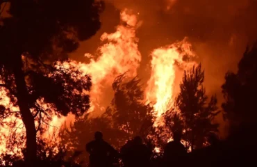 Πυρομετεωρολόγος Θ.Γιάνναρος για την φωτιά στην Βοιωτία: «Το μέγεθος της καταστροφής είναι ασύλληπτο»