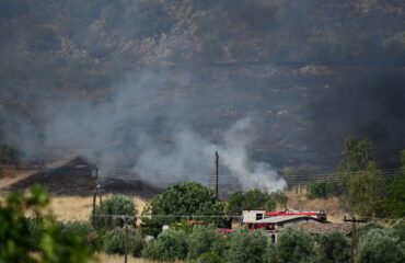 Κεφαλονιά: Συνελήφθη 44χρονος για εμπρησμό – Είχε συλληφθεί και στο παρελθόν