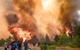 Οι κάτοικοι στα Μέγαρα δίνουν «μάχη» για να σώσουν τις περιουσίες τους από την πύρινη λαίλαπα – Δείτε βίντεο