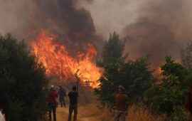 Περισσότερα από 126.000 στρέμματα έγιναν στάχτη από τις φωτιές σε Κιθαιρώνα και Άγιο Νικόλαο