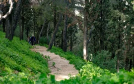 Κλείνει ο λόφος Φινόπουλου λόγω υψηλού κινδύνου πυρκαγιάς