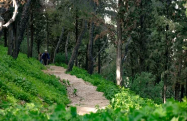 Κλείνει ο λόφος Φινόπουλου λόγω υψηλού κινδύνου πυρκαγιάς