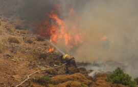 Συνελήφθη 86χρονος στο Μαρούσι που προκάλεσε το ξέσπασμα πυρκαγιάς: Έψηνε κοντά σε ξερά χόρτα