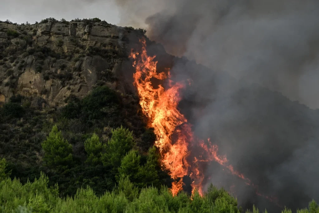 Από το δίκτυο ηλεκτροδότησης ξεκίνησε η φωτιά στον Κουβαρά Αττικής