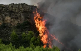 Από το δίκτυο ηλεκτροδότησης ξεκίνησε η φωτιά στον Κουβαρά Αττικής