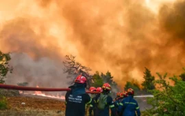 Υπό μερικό έλεγχο η φωτιά στην Αγία Τριάδα Ιωαννίνων