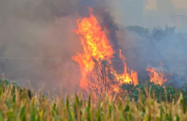 Καβάλα: Συνελήφθη 80χρονος για εμπρησμό από πρόθεση – Ομολόγησε την πράξη του