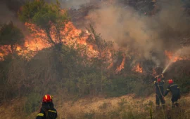«Τσεκουράτο» πρόστιμο σε 42χρονο στην Εύβοια που έκαψε μισό στρέμμα οικοπεδικής έκτασης