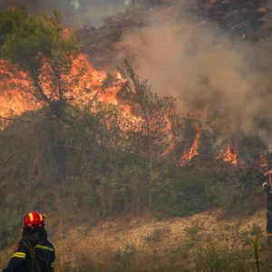 «Τσεκουράτο» πρόστιμο σε 42χρονο στην Εύβοια που έκαψε μισό στρέμμα οικοπεδικής έκτασης