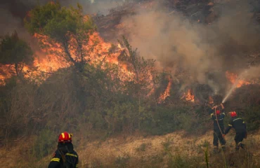«Τσεκουράτο» πρόστιμο σε 42χρονο στην Εύβοια που έκαψε μισό στρέμμα οικοπεδικής έκτασης