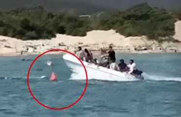 Βίντεο: Ταχύπλοο με Αλγερινούς παράνομους μετανάστες τραυματίζει βαριά 17χρονη κολυμβήτρια ενώ προσέγγιζε την ακτή