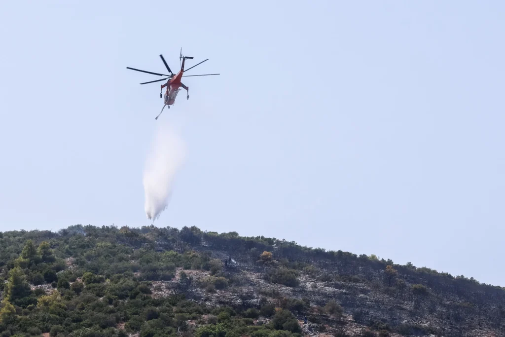 Έβρος: Φωτιά στην περιοχή Ψηλός Στάλος – Επιχειρούν και εναέρια μέσα