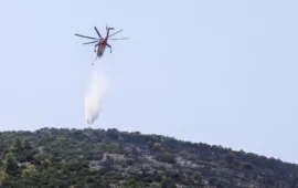 Έβρος: Φωτιά στην περιοχή Ψηλός Στάλος – Επιχειρούν και εναέρια μέσα