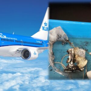 «Πανικός» σε πτήση της KLM από έκρηξη powerbank: Πήρε φωτιά πάνω από τον Ατλαντικό (βίντεο)