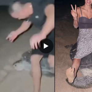 Ομάν: Σύλληψη για ζευγάρι Ουκρανών που καβάλησαν χελώνα (βίντεο)