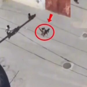 Η Χαμάς έβαλε παιδί να μεταφέρει όπλα για να μην του επιτεθούν! (βίντεο)