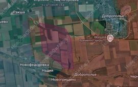 Οι Ρώσοι μπήκαν στην νοτιοδυτική Ντομπροπίλια