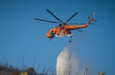 Φωτιά σε δασική περιοχή στο Καταφύλλι Καρδίτσας