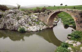 Ανησυχία μετά τα νέα ευρήματα στα νερά του Ασωπού: Εντοπίστηκε χολέρα!