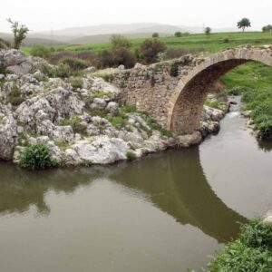 Ανησυχία μετά τα νέα ευρήματα στα νερά του Ασωπού: Εντοπίστηκε χολέρα!