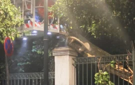Έπεσε μεγάλο δέντρο στην Ηρώδου Αττικού κοντά στο Μέγαρο Μαξίμου – Έκλεισε ο δρόμος