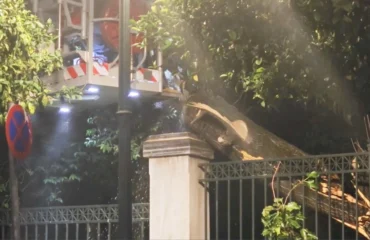Έπεσε μεγάλο δέντρο στην Ηρώδου Αττικού κοντά στο Μέγαρο Μαξίμου – Έκλεισε ο δρόμος